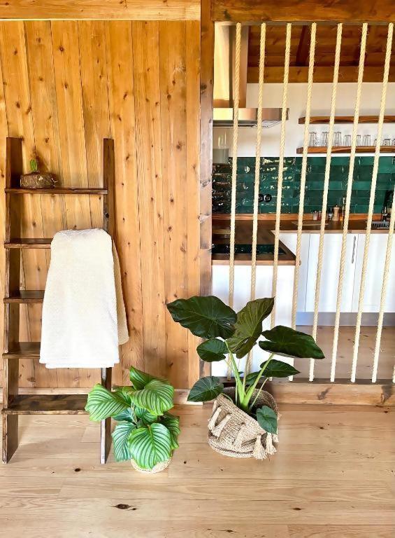 Mountain Eco Shelter 2 Hotel ฟุงชาล ภายนอก รูปภาพ